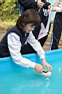 DSC09268.JPG